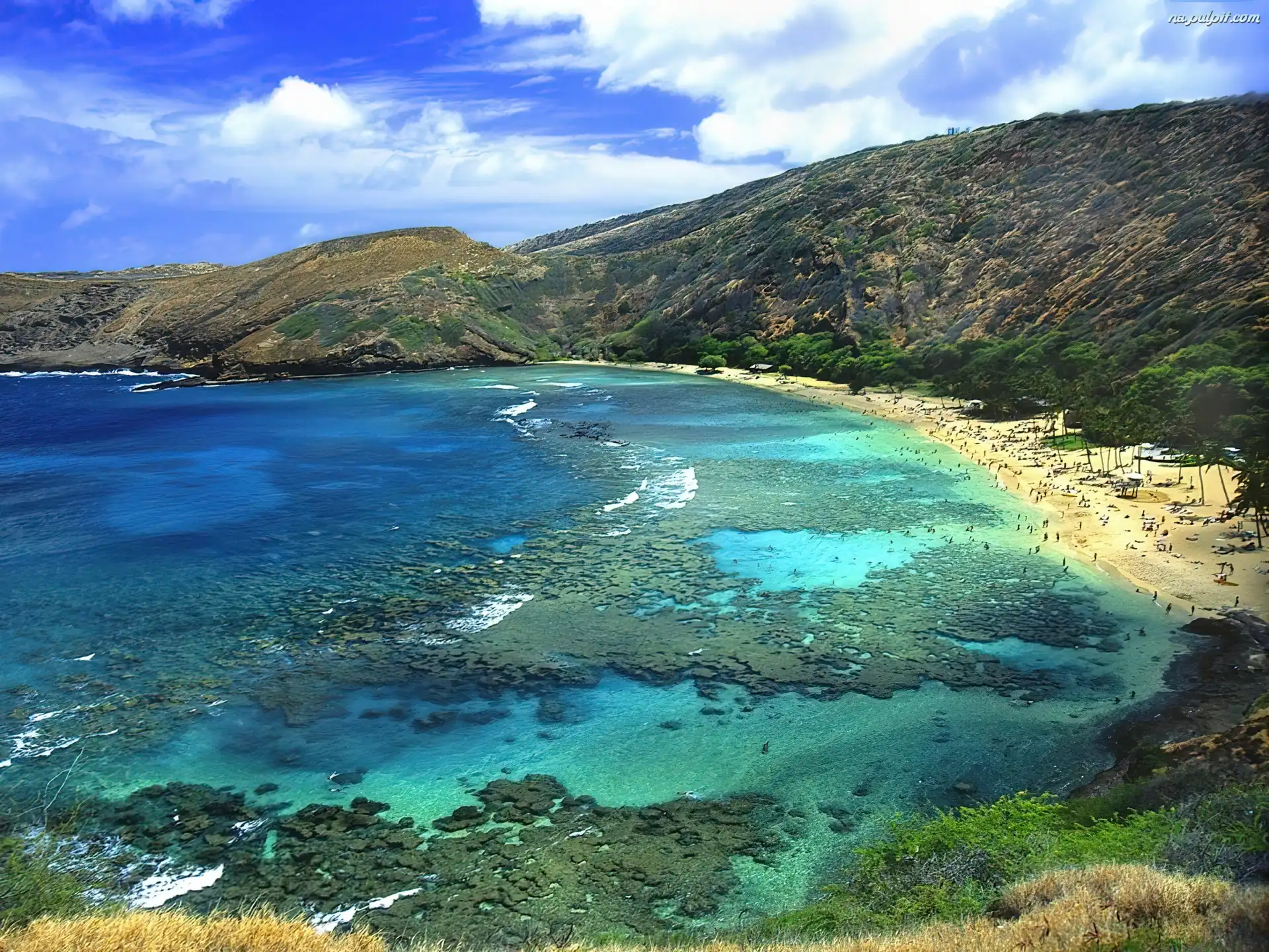 Division of Forestry and Wildlife - dlnrhawaiigov